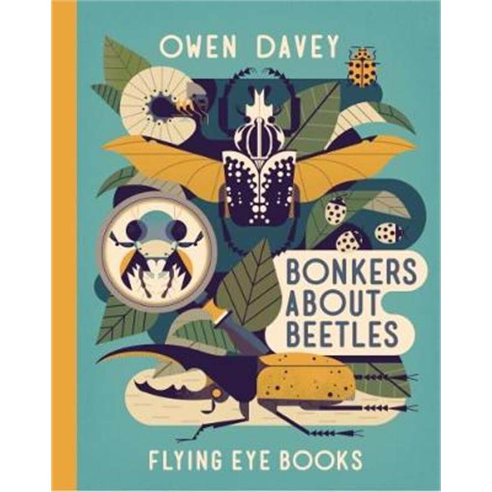 Bonkers About Beetles (Hardback) - Owen Davey